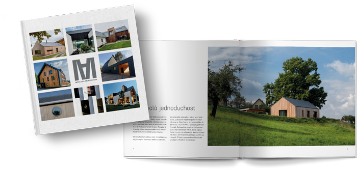 Kniha Metalická architektura