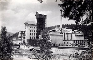 Foto 6: pohled od Studeného Zejfu s Mitscherlichovou věží v popředí